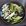 dish