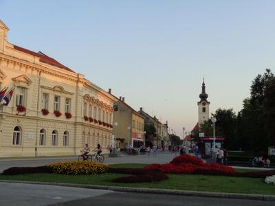 Копривница