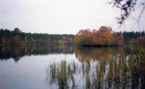 Форрес