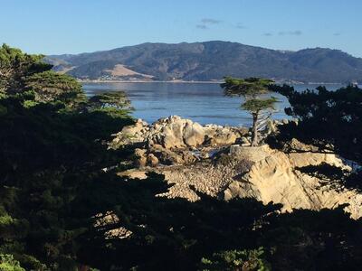 Сайпрес