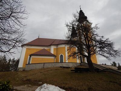 Ползела