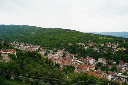 Никсар