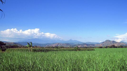 Trenggalek