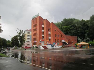 Мозырь