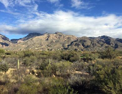 Catalina Foothills
