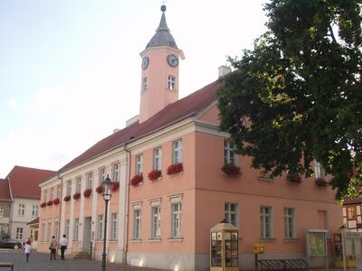 Цеденик