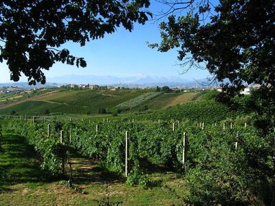 Corropoli