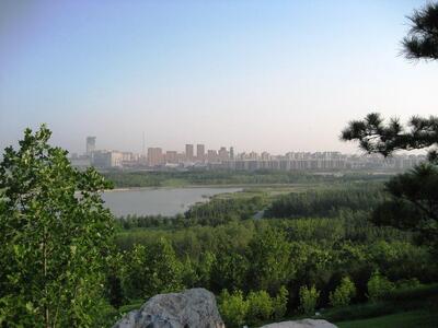 Форест Парк