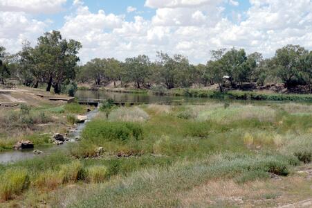 Brewarrina